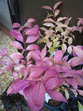 �����莇�����@�g�t