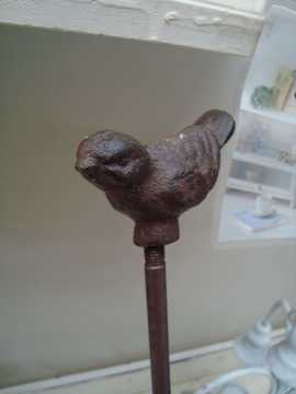 �o�[�h�@�x��