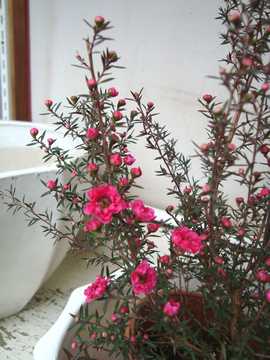 �M�������E�o�C