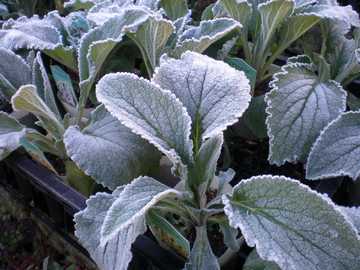 �W�M�^���X