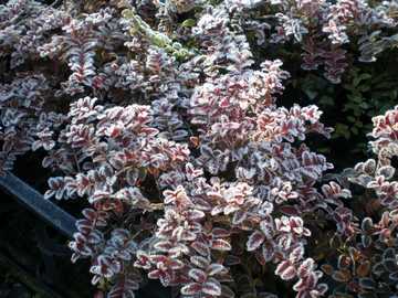 ���j�Z���@�j�e�B�_�I�[���A