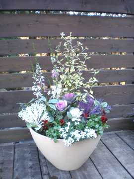 �������̊񂹐A��