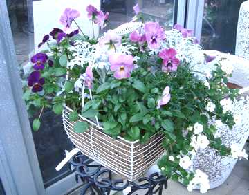 �r�I���@�񂹐A��