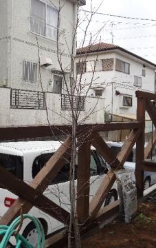 �W���[���x���[