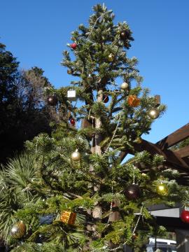 �N���X�}�X�c���[