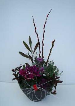 �������@�񂹐A��