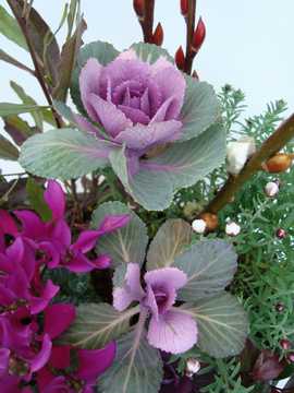 �n�{�^���@�񂹐A���@������