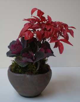 �~�͕��񂹐A��