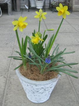 ����@���X�J��