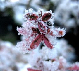 �s���J���T