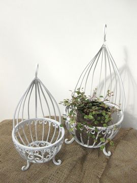 �s���A�z���C�g�E�R�N�[��