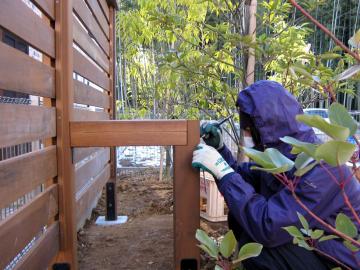 �t�F���X�T��