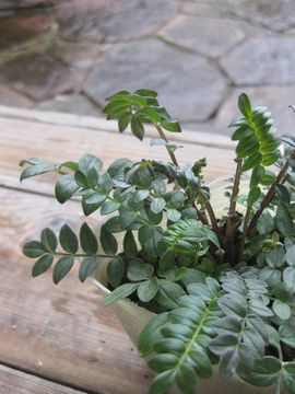 �|�����j�E��