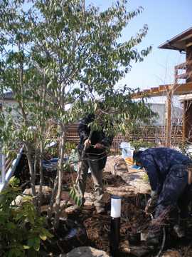 ����@����