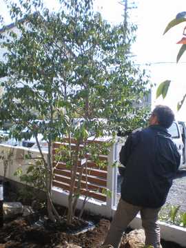 ����@�В�