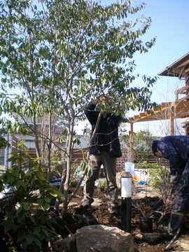 ����@�\���S