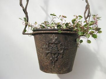 ���X�e�B�n���M���O�|�b�g