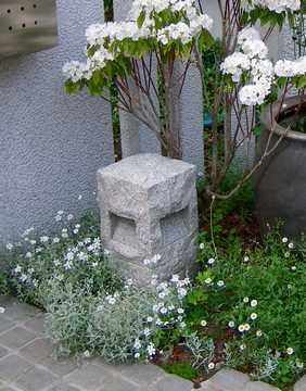 �Z���X�`�E��