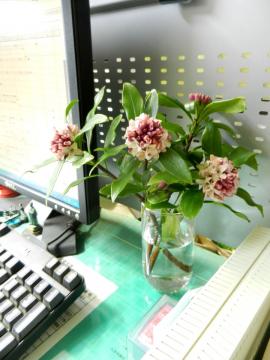 �W���`���E�Q