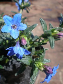 �~���}�z�^���J�Y��