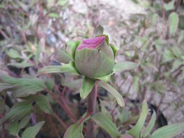 �������O