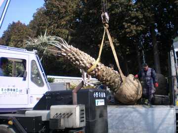 �R�R�X���V�@����