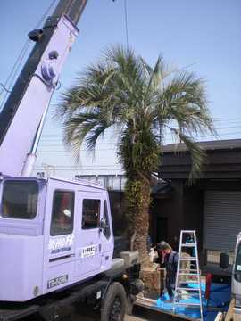 �R�R�X���V�@�A��