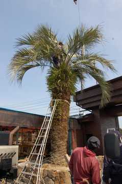 �L������