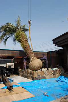 �A�́@�R�R�X���V