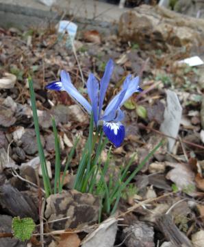 �~�j�A�C���X