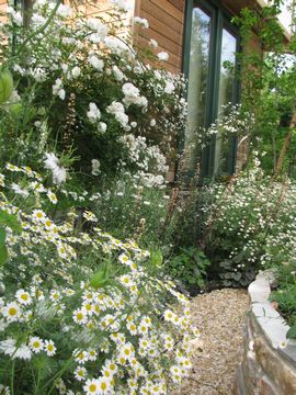 �^�i�Z�c��