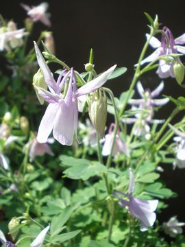 ����I�_�}�L