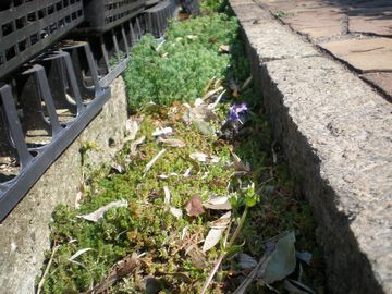 ���u���h���J