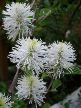 �t�H�b�T�M���@�}���[���@�����e�R��