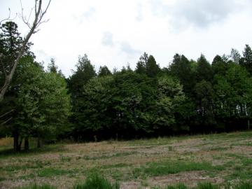 �E���~�Y�U�N��