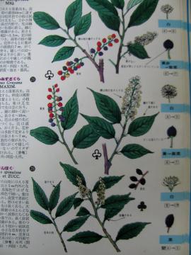 �E���~�Y�U�N��