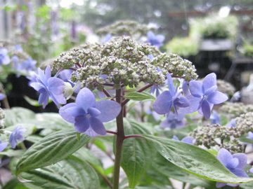 �m�����d