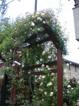 �A�[�`�@�o��