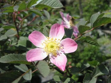 �J�����l�b�^