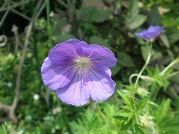 �Q���j���[���@�W�����\���Y�u���[