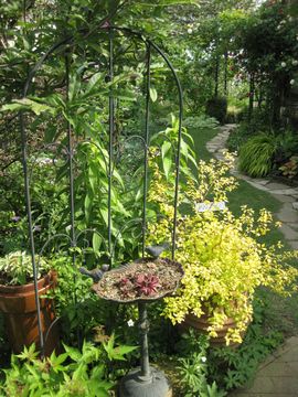 �o�[�h�o�X