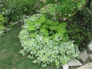 ������C���~�c�o