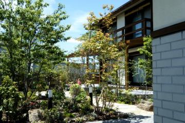 ���t�H�[���K�[�f���@�G�؂̒�