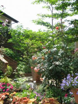 �I�[�v���K�[�f���@����