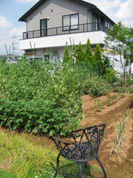 �L�b�`���K�[�f��