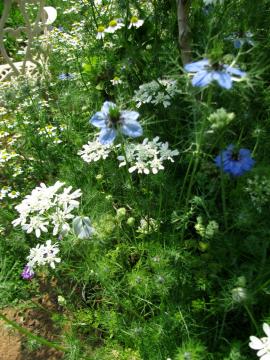 ��Q���@�I�����A