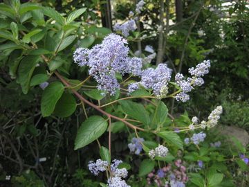 �Z�A�m�T�X