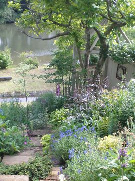 �I�[�v���K�[�f��