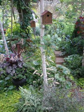 �I�[�v���K�[�f��