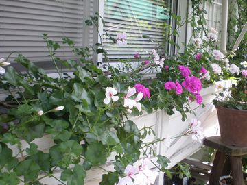 �[���j���[��